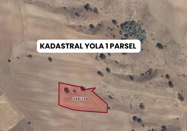KIRIKKALE BALIŞEYH KULAKSIZ  KÖYÜNDE  3.002  M² TARLA SATILIKTIR - KIRIKKALE BALIŞEYH fotoğraf 8